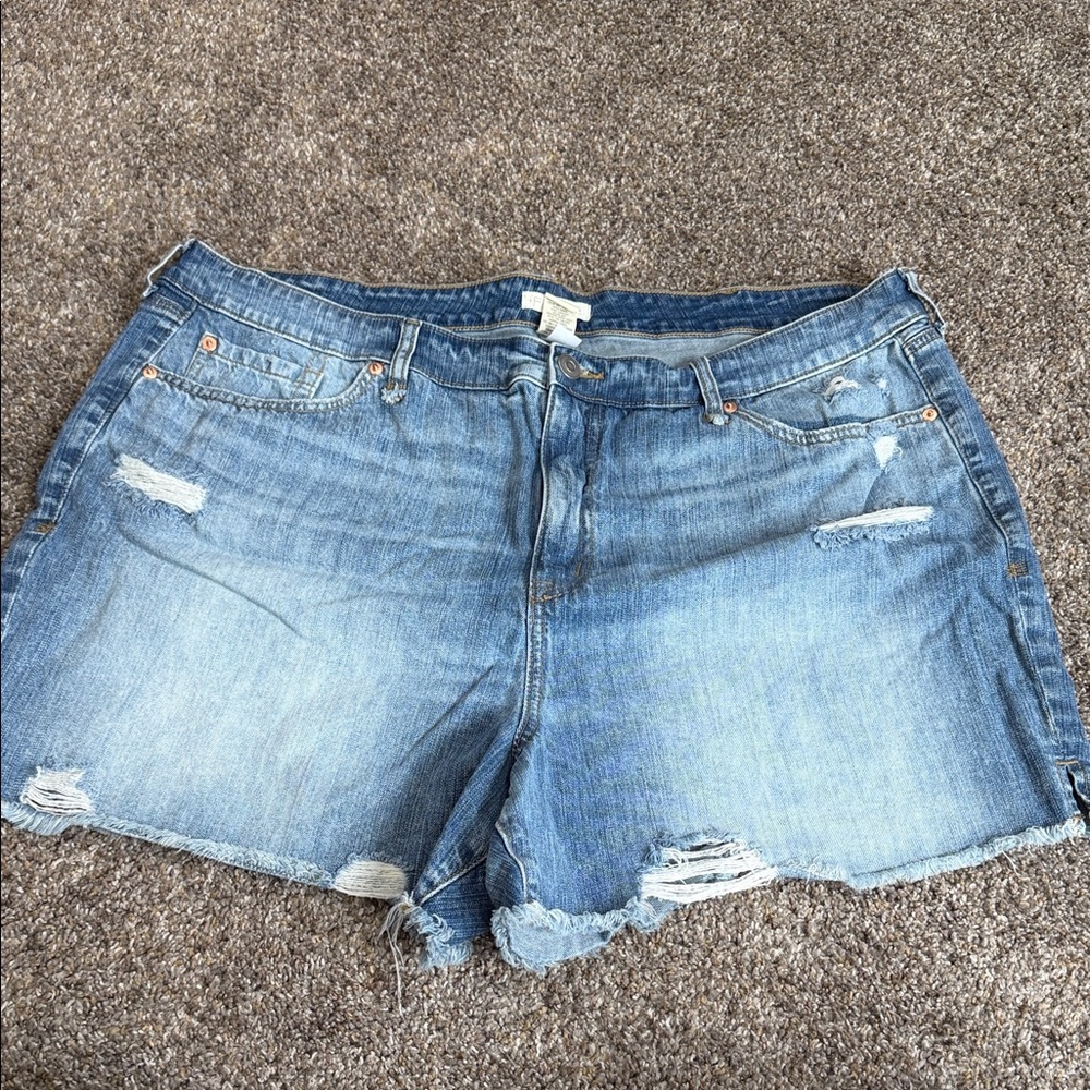Torrid Festi Distressed Light Blue Jean Shorts